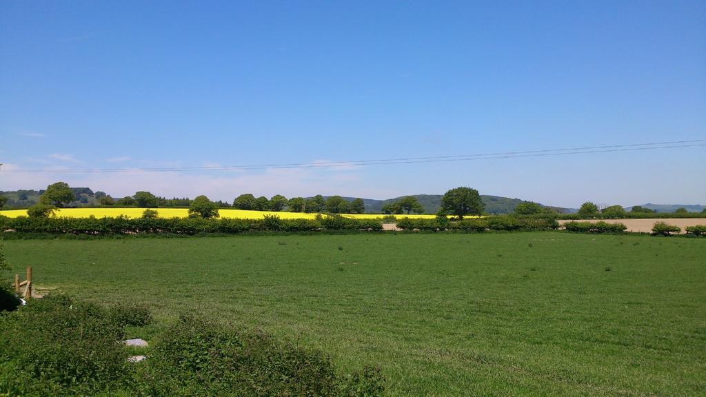 Upper Letton Farm Panzió Leintwardine Kültér fotó