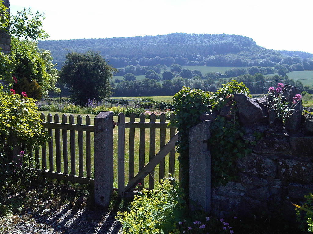 Upper Letton Farm Panzió Leintwardine Kültér fotó