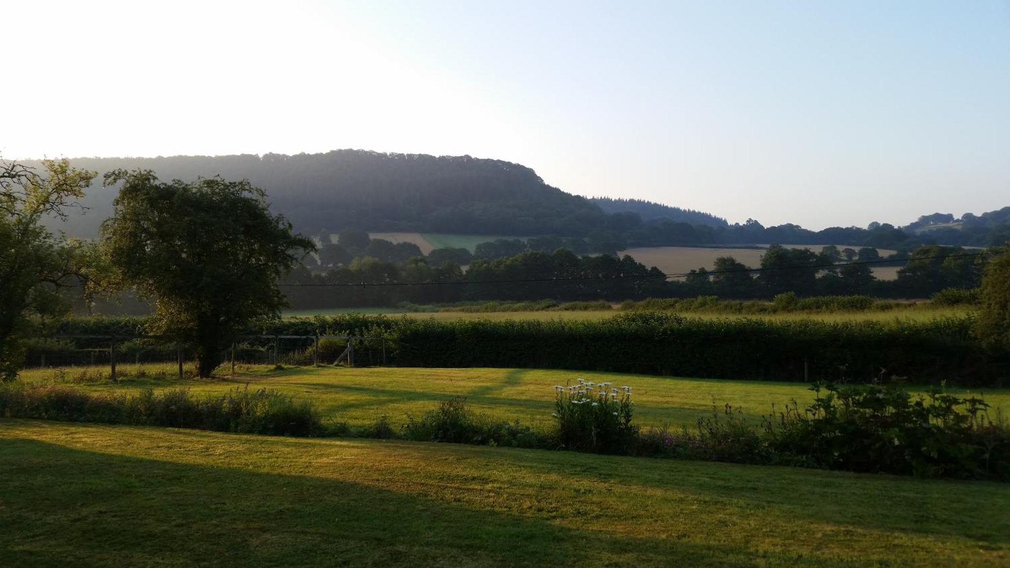 Upper Letton Farm Panzió Leintwardine Kültér fotó